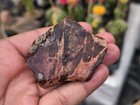 2 6 Oz Mexican Imperial Jasper Rough For Lapidary Or Display