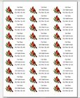150 Red Cardinal Bird Mailing Return Address Labels Personalized  1 X 2 5 8 In 