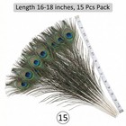 Lamar Peacock Feathers 15 Pcs 16-18 Inch Feathers Bulk Bundle For Tall Vases  We
