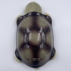 Cloud B Twilight Turtle Night Light W  Star Guide - Sleep Aid - Untested