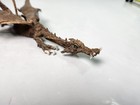 Vintage Rawcliffe Fantasy Pewter Stalking Dragon Painted Gold Color 6 Inches