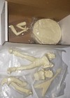 Ozzy Osbourne Randy Rhoads Tribute 1 8 Scale Model Blizzard Diary Madman Figure