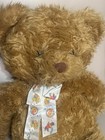 Rare Shaggy Fao Schwarz Fifth Avenue Honey Brown Bear Sitting Soft Plush 20  Euc