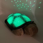 Cloud B Classic Twilight Turtle Night Light Colorful Stars Constellations Plush