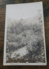 1911 Rppc Jamaica West Indies Real Photo Postcard Sent To New York