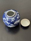 Chinese Porcelain Blue   White Prunus Ice Vase Ginger Jar