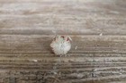 Victorian Antique Strawberry Emery Pin Cushion