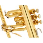 Yamaha Yfh-8310zii Professional Bb Flugelhorn - Clear Lacquer