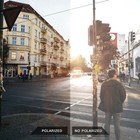 Wholesale Polarized Replacement Lenses For-bolle King-options