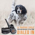 Sportdog Sd-425x Remote Field Trainer 1-2 Dog Training E-collar System 500yd