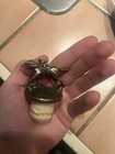 Blanton s Bourbon Bottle Stopper Jockey Cork A