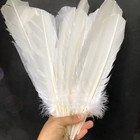 Wholesale 50 100pcs White Turkey Tail Feathers 10-12  25-30cm Decoration Craft