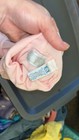 True Vintage Baby Clothes Bundle