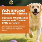 Probiotics For Dogs 180 Chews Dog Digestive Enzymes Prebiotics Support Gut