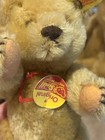 Lot Of  8 Steiff Teddy Bears Including Rare Mamma   Baby Bear 1981 And More