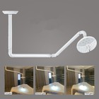 36w Led Ceiling Mounted Dental Surgical Shadowless Lamp 27 Hole Vet Light Usa