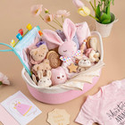 30 Piece Baby Gift Basket     Luxury Curated Baby Gift Basket For Newborn