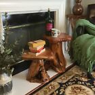 Natural Irregular Shape Tree Stump End Table Plant Stand  14 x13 x18 h