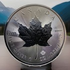 2020 Canada 1 Oz Silver Maple  Privy  Bu  Nice Grade