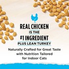 Purina Cat Chow Naturals Indoor Dry Cat Food Chicken Turkey 13 Lb 2 Pack