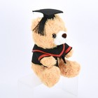 Graduation Teddy Bear Plush Doll Stuffed Gift 9  W cap   Gown Party Decor Cute