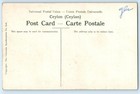 Ceylon sri Lanka Postcard Tapping Rubber With The Aid Of Scaffolds C1910
