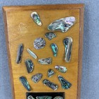 Vintage Abalone Shells On  Display Piece Unique Wall Art Decoration Boho