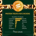 10 Lbs Non-gmo Dried Black Soldier Fly Larvae For Chickens birds Proilgrubs