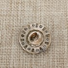 Antique Victorian Mop Carved Cameo   Steel Brass Rim Button  18mm Woman Scenic