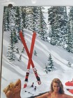 Vintage 1980s Beer Poster Budweiser Snow Ski Hot Tub Sexy Girls 28x20 