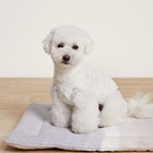 Barefoot Dreams Sunset Pet Mat Cozychic Dog Cat Bed Ombre Stripe Luxury Nwt  158