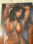 Power Hour  1 Shikarii Cosplay Wonder Woman Bikini New Art Print 11x17 New L  k 