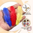 300pcs Mixed Color Feathers Bulk For Crafts - 3-5 Inch Natural Rooster Feathers 
