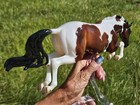 Breyer 2025 Breyerfest Glossy Hoopla Online  Limited Edition Bristol