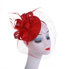 Wedding Bridal Fascinator Hat Mesh Lace Feather Headband Tea Party Women