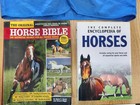 Horse Safety Vest  caution Young Rider    Horse Bible   The Horse Encyclopedia