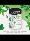 Chapstick Total Hydration Essential Oils Peace Lip Balm Rosemary peppermint 6pk 