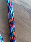 Nylon Poly Mini Horse Pony Goat Sheep Dog Lead Rope Usa Multi Colors