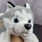 Fao Schwarz Husky Dog Timber Wolf Plush Lay Flat 15    Stuffed Animal White Gray