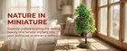 2pcs Artificial  Tree Model - Miniature Fruit Trees For Micro