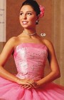  Embroidered Spandex Back Ballet Basque Rose Clear Strap Over 200 Available