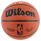 Celtics Larry Bird Authentic Signed Wilson Indoor outdoor Basketball Bas Witness