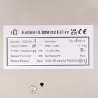 110lbs Electric Chandelier Hoist Lifter Pendant Lamp Lifting Hoist System 50kg