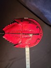 Unique Painted Real Horseshoe Crab Shell Odd Gifts Oddities  17  