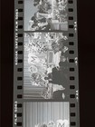 Marvin Gaye Funeral Archive Of 42 Total 35mm Negatives  Free Shipping 