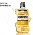 Listerine Original Antiseptic Mouthwash Intense Original 33 8 Fl Oz 1l