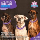 3pack Calming Collar For Dogs  Sustained Release Anxiety Dog Pheromone  24 5in 