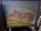    1950s Framed Picture Horse Displays Beautiful  