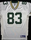 Rare Green Bay Packers Terry Glenn Authentic Reebok Football Jersey Size  48