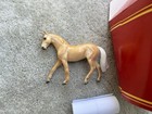 Peter Stone Horse Warmblood Chips Equilocity Fortune Cookies Palomino Glossy  2